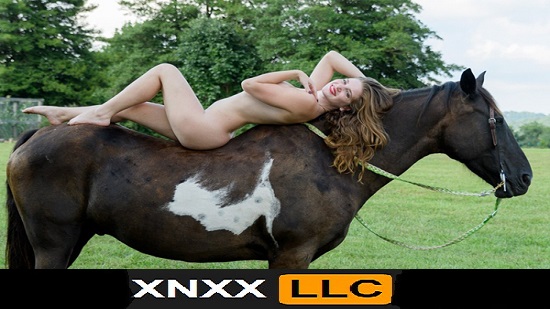 سكس حصان – نيك حيوانات